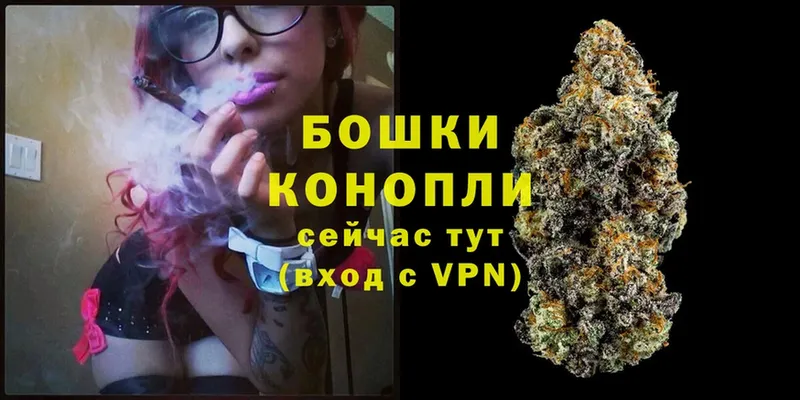 Канабис Bruce Banner  магазин    мега рабочий сайт  Котлас 